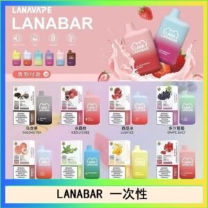 LANA BAR可充电一次性電子煙霧化5000口(3.0%)