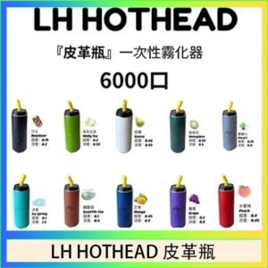 LH HOTHEAD皮革瓶電子煙可充電6000口一次性