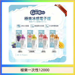 【8種口味】極楽 12000口一次性電子煙|超大容量 |口感絲滑|新品